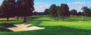 Fertilizers for golf course turf care